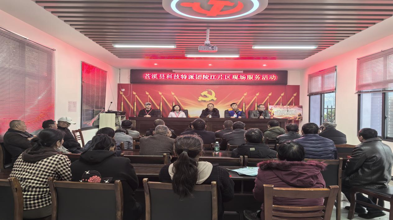 陵江片区12.6 .png