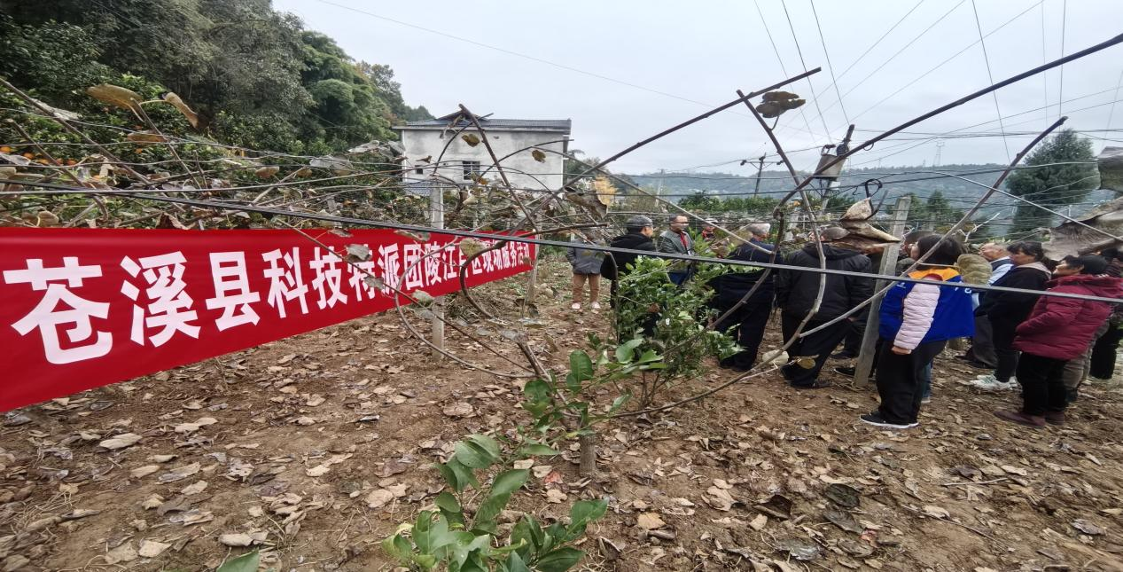 陵江片区12.4.png