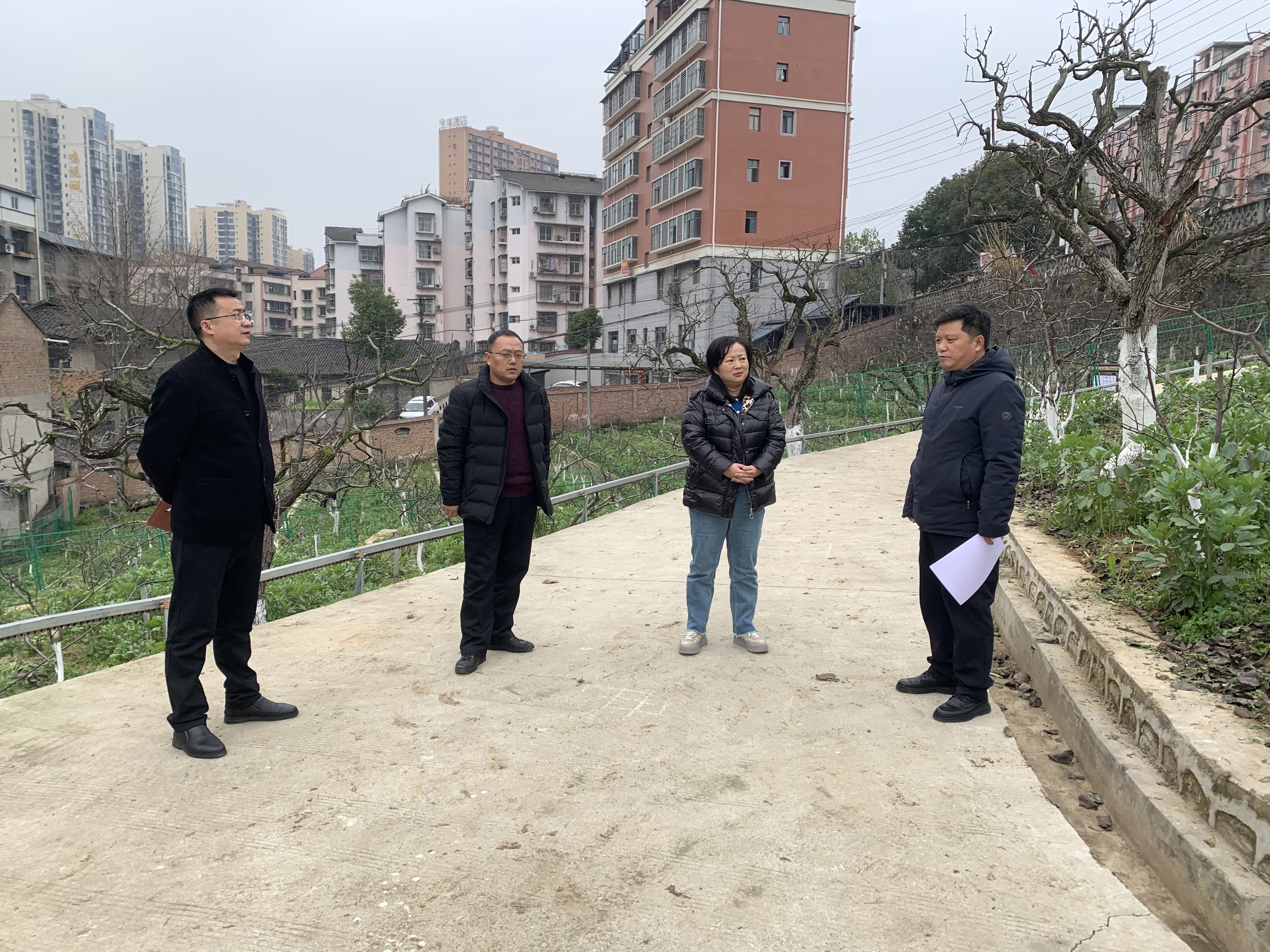 伍霞梨研所2.27.jpg